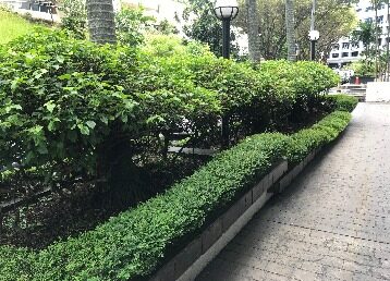 Landscape services