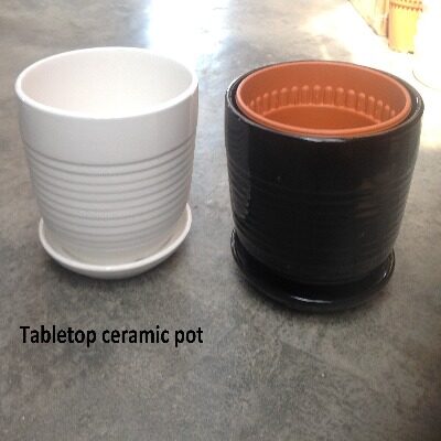 Tabletop_ceramicpot1