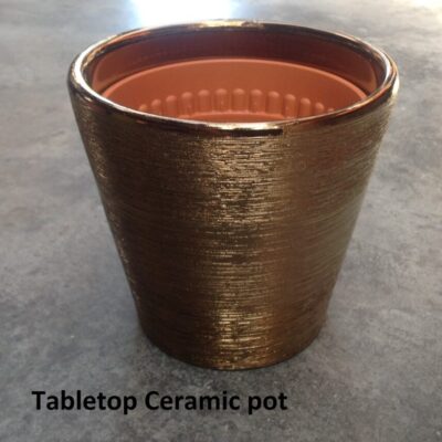 Tabletop_pot_Gold