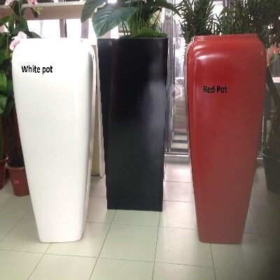 White_Red_Pots1
