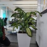 WhatsApp Image 2024-03-06 at 16.13.23_96634ead
