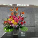 Fresh flower(1)