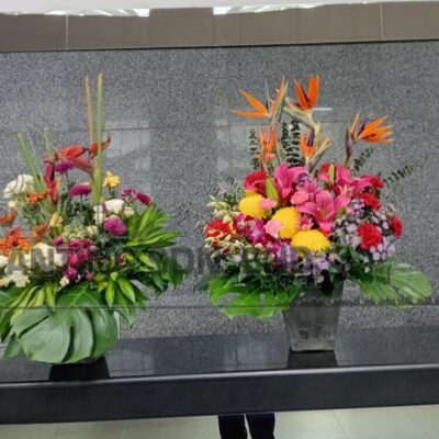 Fresh flower(2)