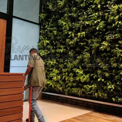 Greenwall2