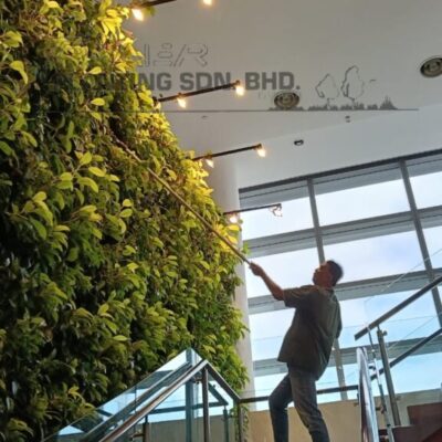 Greenwall1