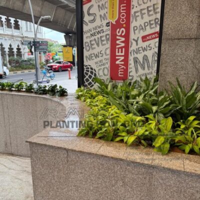 Landscape Job-Planter Box 2