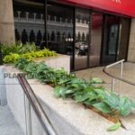 Landscape Job-Planter Box 3