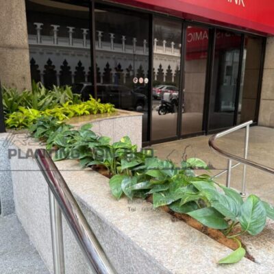 Landscape Job-Planter Box 3