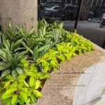 Landscape Job-Planter Box 4