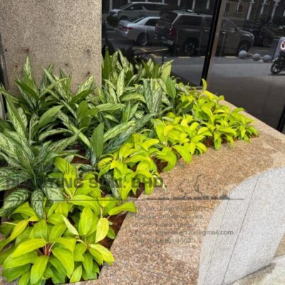 Landscape Job-Planter Box 4