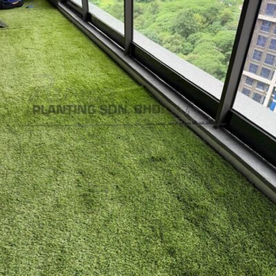 Artificial Turf 2