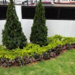 Landscape Job-BU3