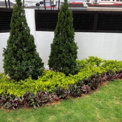Landscape Job-BU3