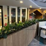 Indoor Plants 6