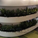 Indoor Plants 9