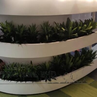 Indoor Plants 9