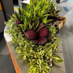 Indoor Plants 3